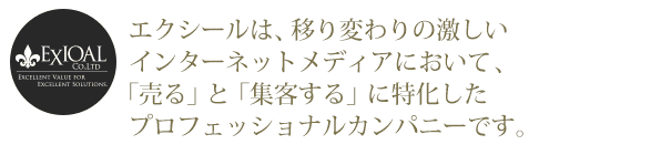 ネット販売蛇行なら当社にお任せ下さい。当社は移り変わりの激しいインターネットメディアにおいて、「売る」と「集客する」に特化したWebプロモーション会社のプロフェッショナルカンパニーです。